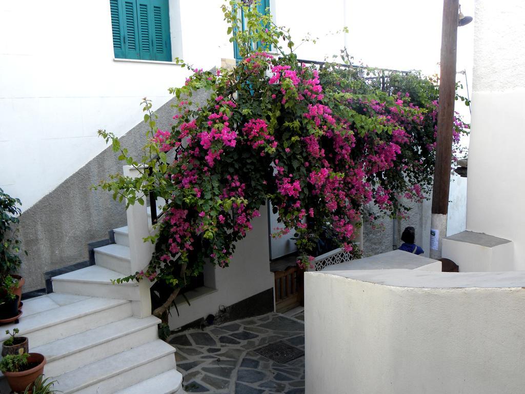 Hotel Anixis Naxos City Ngoại thất bức ảnh
